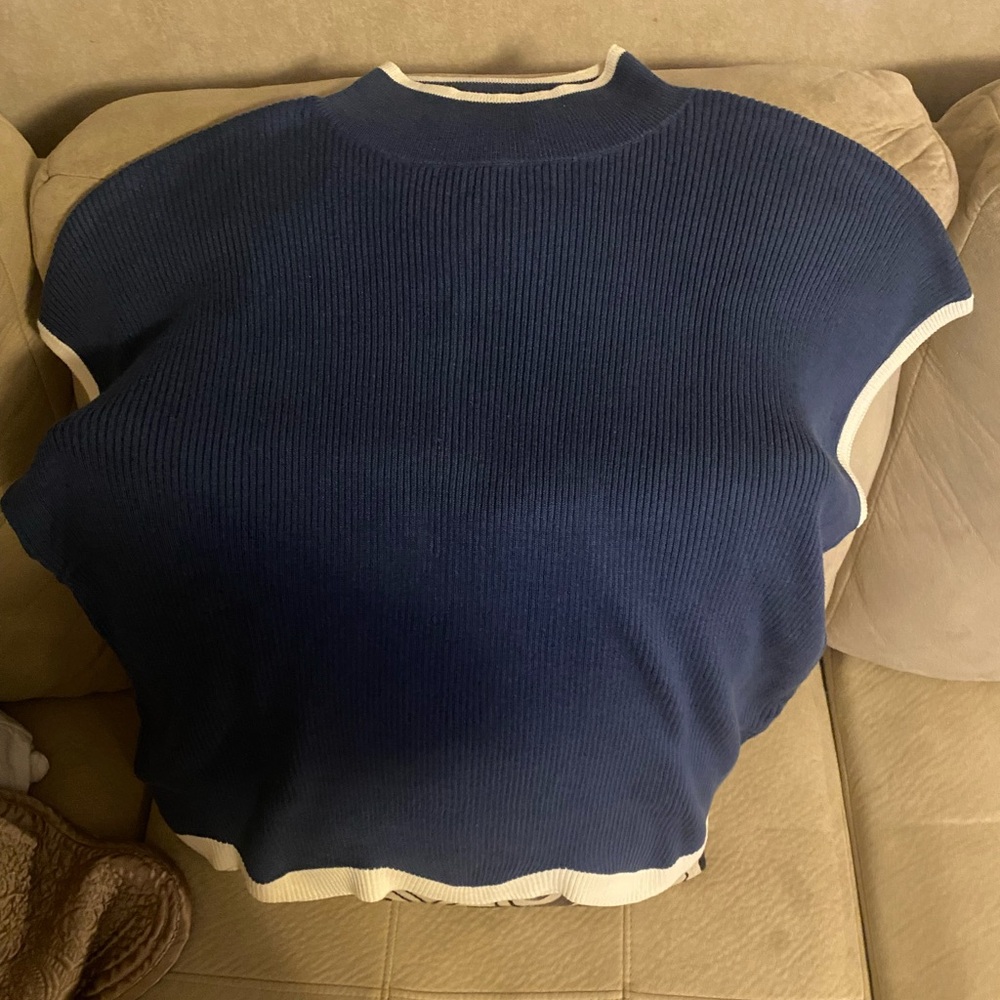 Belle by Kim Gravel Blue and White Knit Top